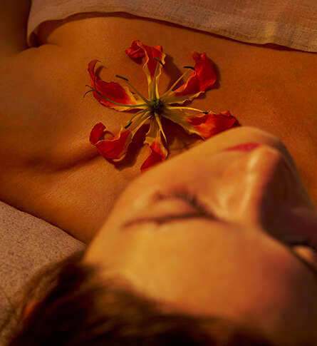 Soin bien-être La Tête dans les Étoiles